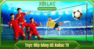 Xoilac TV website update thông tin bóng đá Xoilac-TV.one