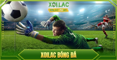 Xoilac-tvv.lol: Lối vào vào thế giới thể thao tuyệt vời nhất